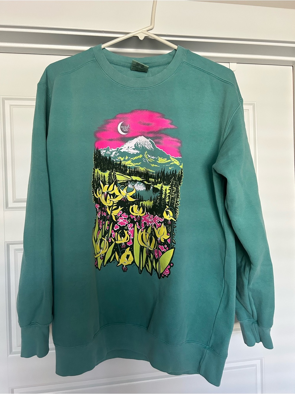 Rachel Pohl Cascades Seafoam Sweatshirt M - Picture 4 of 7